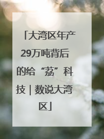 大湾区年产29万吨背后的给“荔”科技｜数说大湾区